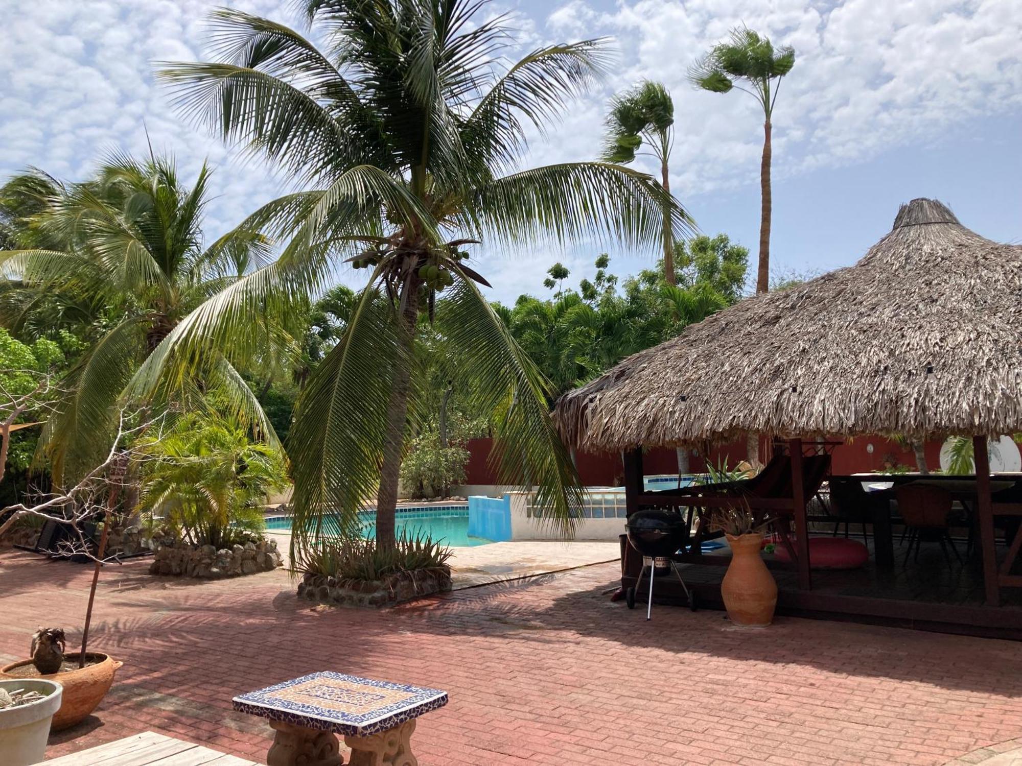 Woodstock Palmresort Curacao Willemstad Eksteriør bilde